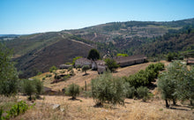 Load image into Gallery viewer, Quinta da Retorta