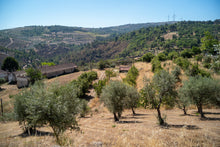Load image into Gallery viewer, Quinta da Retorta
