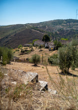 Load image into Gallery viewer, Quinta da Retorta