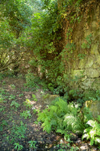 Load image into Gallery viewer, Quinta da Retorta