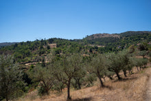 Load image into Gallery viewer, Quinta da Retorta
