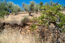 Load image into Gallery viewer, Quinta da Retorta
