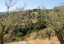 Load image into Gallery viewer, Quinta da Retorta
