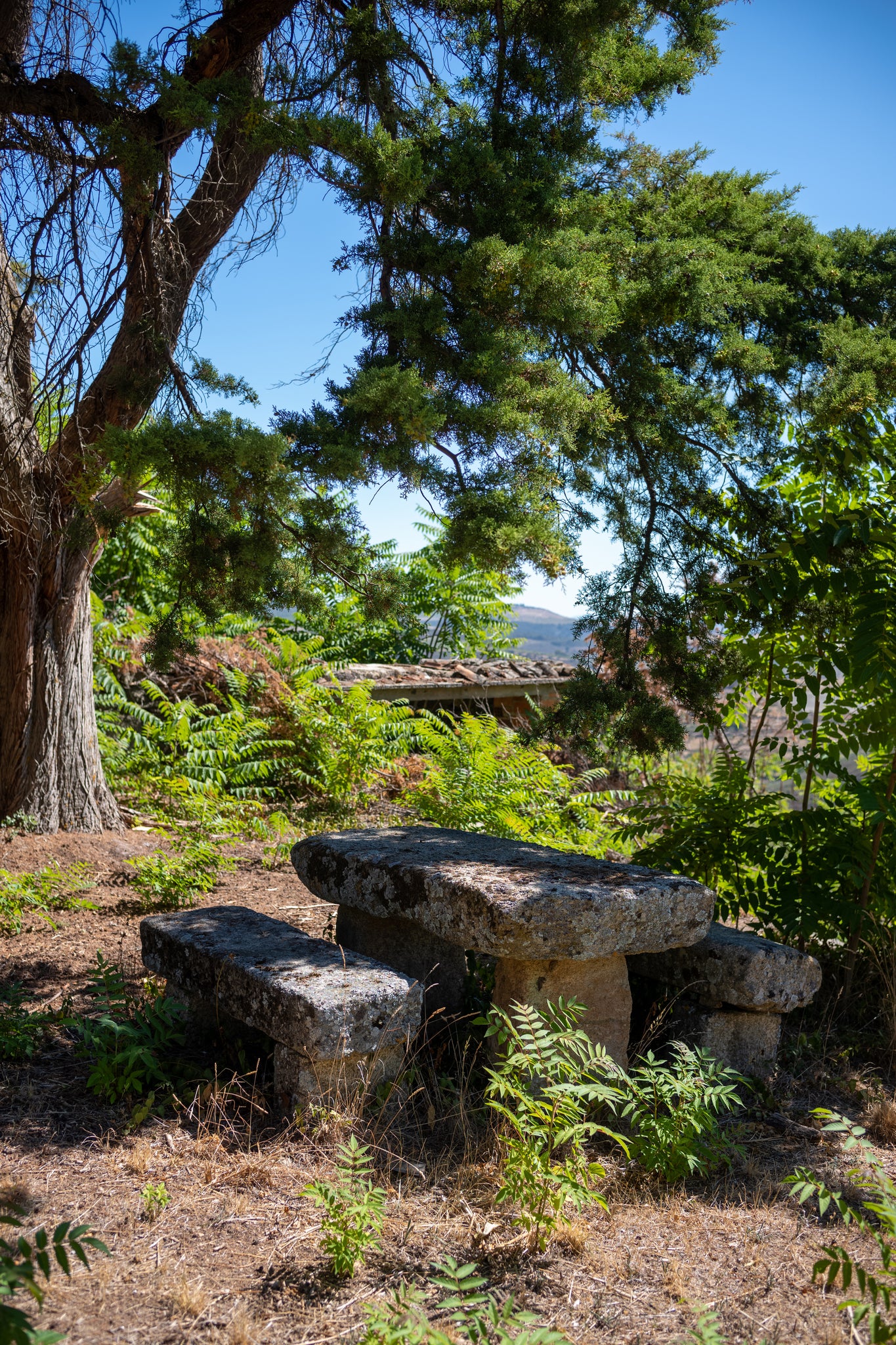 Quinta da Retorta