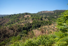 Load image into Gallery viewer, Quinta da Retorta
