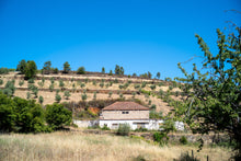 Load image into Gallery viewer, Quinta da Retorta
