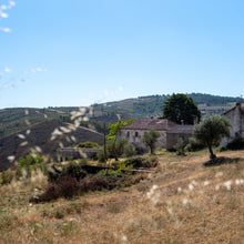 Load image into Gallery viewer, Quinta da Retorta
