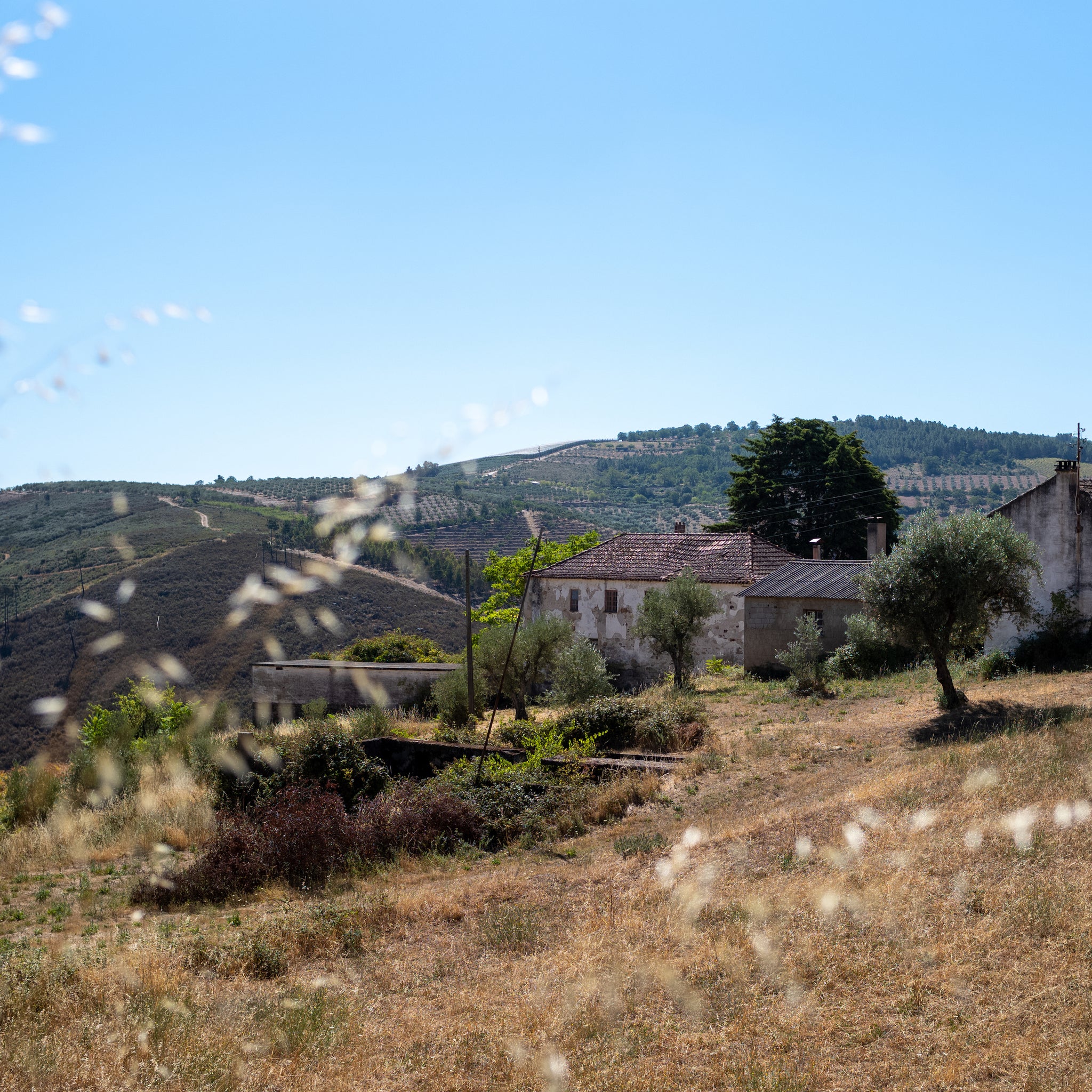 Quinta da Retorta