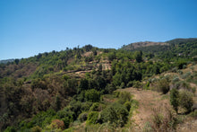Load image into Gallery viewer, Quinta da Retorta
