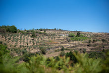 Load image into Gallery viewer, Quinta da Retorta
