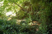 Load image into Gallery viewer, Quinta da Retorta
