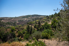 Load image into Gallery viewer, Quinta da Retorta
