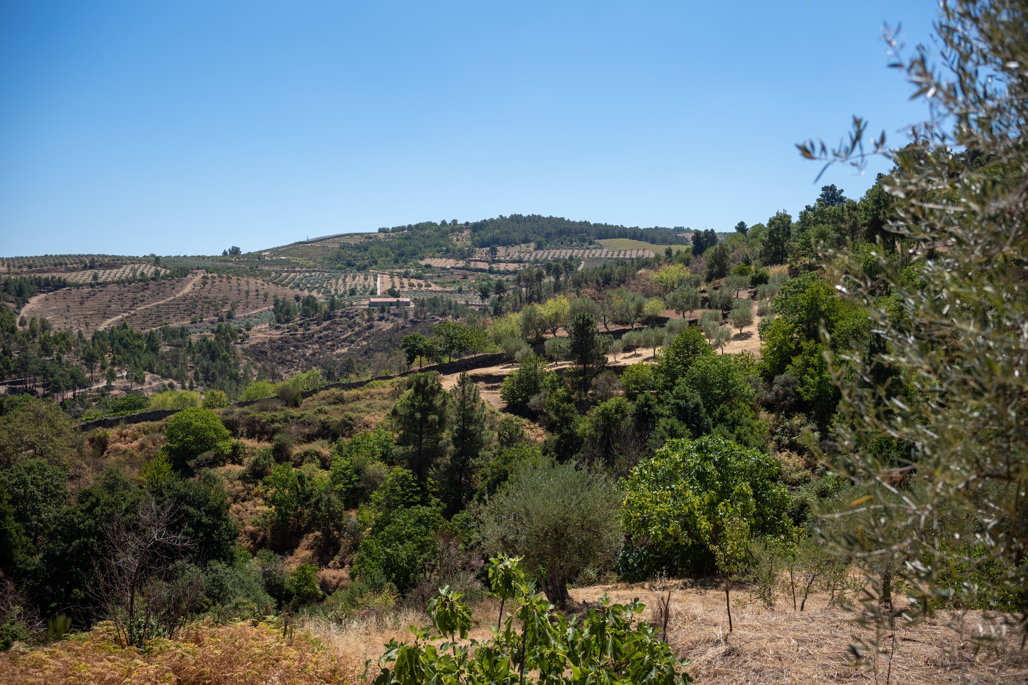 Quinta da Retorta