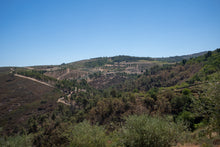 Load image into Gallery viewer, Quinta da Retorta
