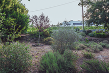 Load image into Gallery viewer, Casa Limao holiday rental villa
