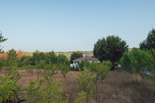 Load image into Gallery viewer, Casa Limao
