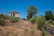 Load image into Gallery viewer, casa ribeira (sold)
